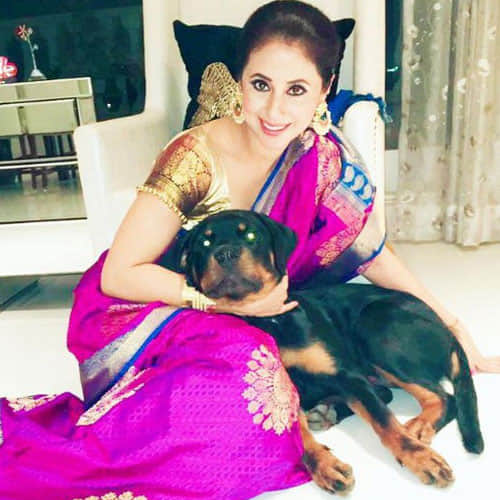 urmila matondkar quit from bollywood and enjoy her married life