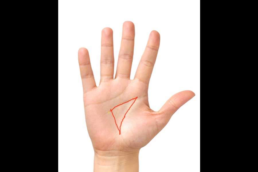 lucky palmistry sign for healthy and wealthy life