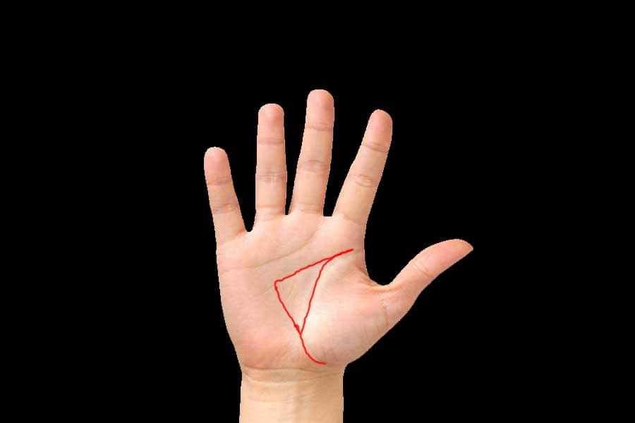lucky palmistry sign for healthy and wealthy life
