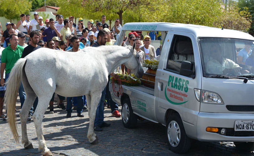 The heartbreaking moment a horse cries at his owner’s funeral