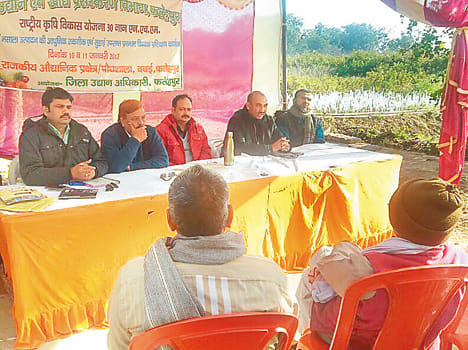 Vegetable, spice cultivation assigning tricks