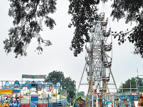 In the five-day fair will Dharmnagri on Makar Sankranti