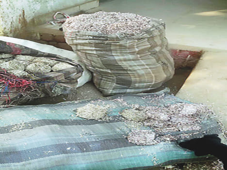 Bangrmu got four sacks of mutilated notes