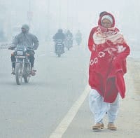 weather, cold, 1.5 temperature, wednesday, kaithal
