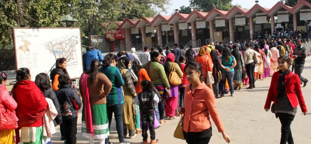 Delhi Zoo Oldest Chimpanzee Rita name in Limca Book of Records