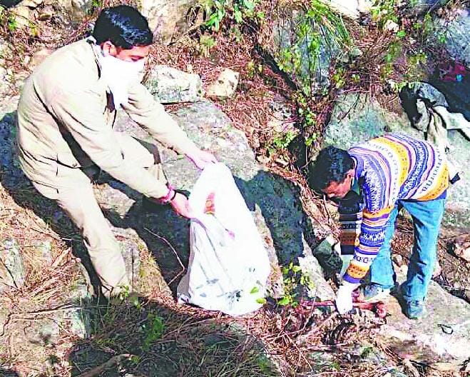 Surkhal skeletons found in the woods