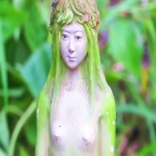 Tree In Thailand Bears Fruits That Look Like Female