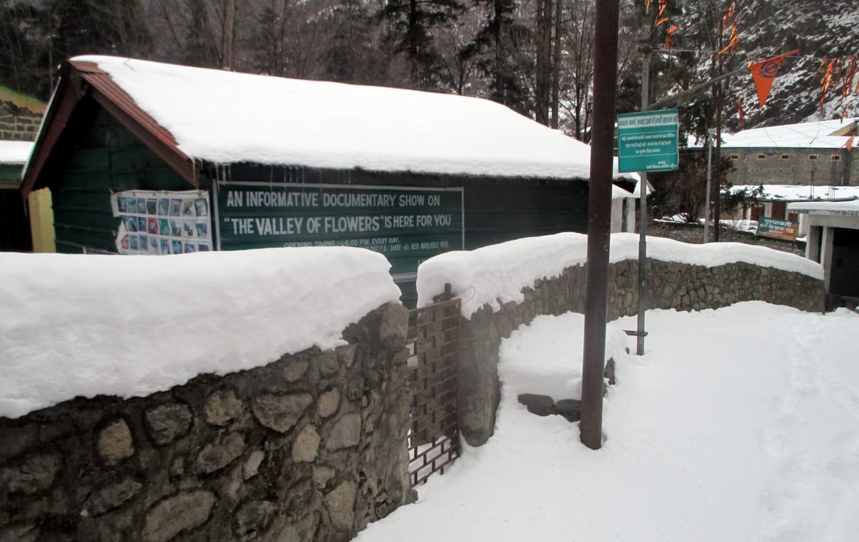 snowfall again in uttarakhand hills.