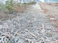 winter, 1 degree, temperature, karnal