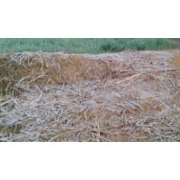 weather,temptrature,cold,rewari,farmer,crop