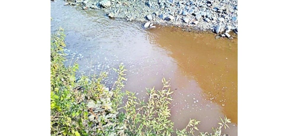 Find a happtites baries in ashwani khed