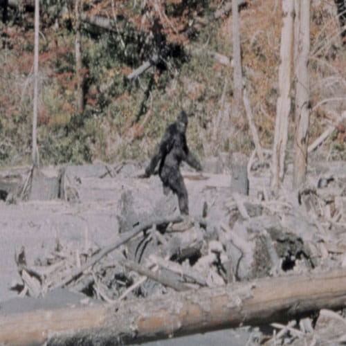 Woman Found British Bigfoot When She Was Walking In Jungle
