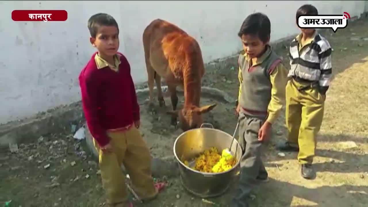 जानवरों के लिए बनता है मिड-डे मील