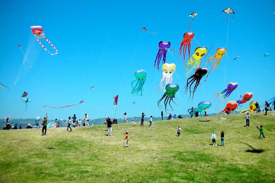makar sankranti ganga snan and kite contest story 
