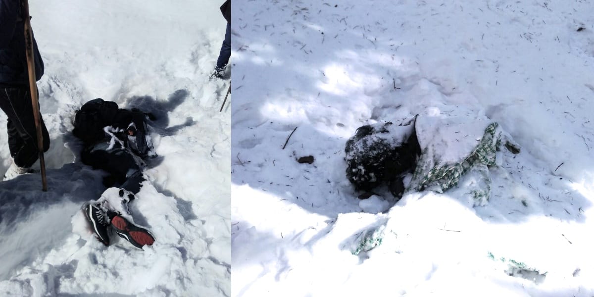 Two student dead body recovered out of 4 missing NIT Hamirpur students