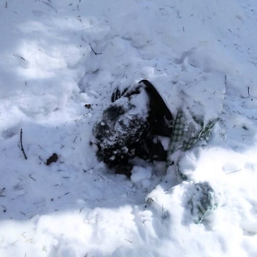 NIT Student Found Dead in Snowfall at Shikari Devi, live Photos.