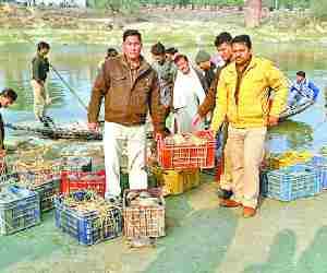 Turtles released in Gomti water