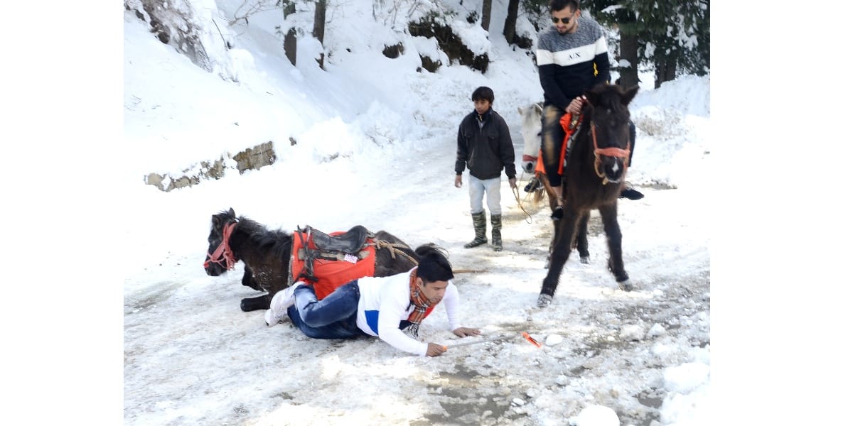 funny pictures in heavy snowfall in himachal