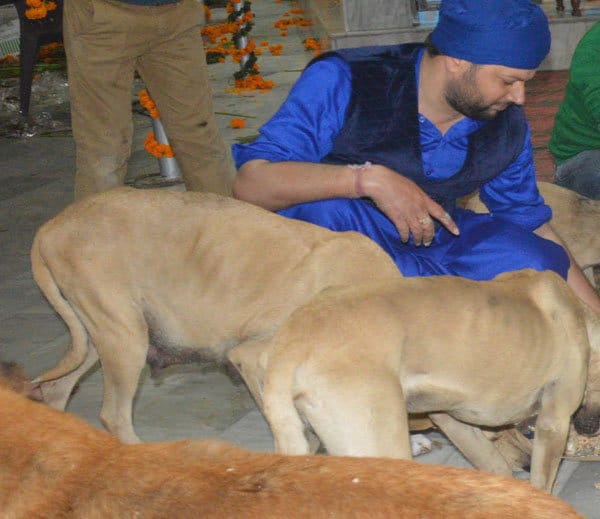 unique mazar in india, popular as naugaja peer baba mazar and daily langar for dogs