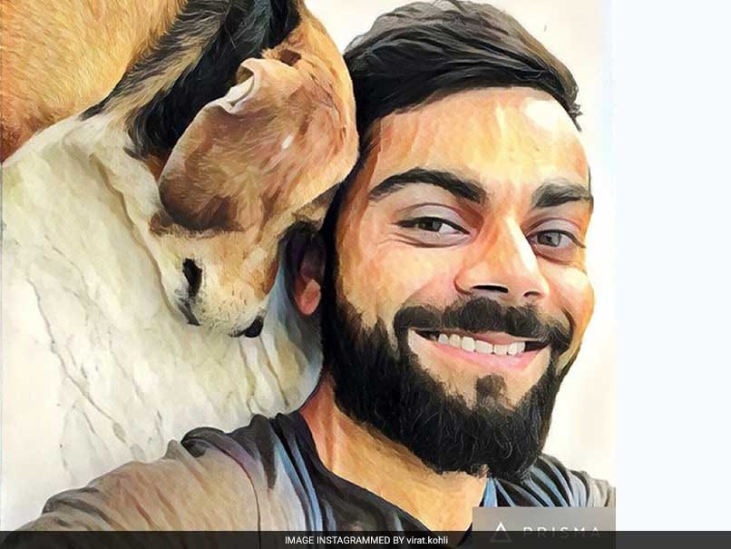 Virat Kohli Makes Friends With Sniffer Dog Prince At Pune Stadium