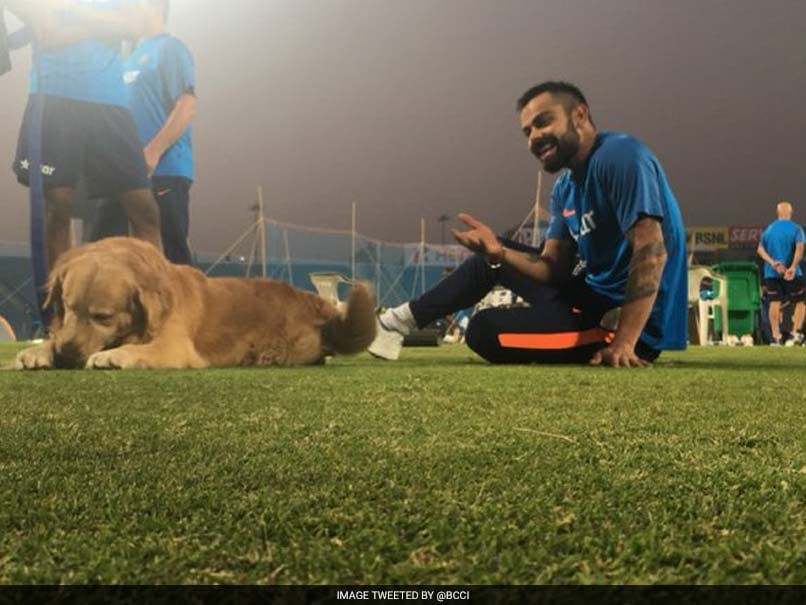 Virat Kohli Makes Friends With Sniffer Dog Prince At Pune Stadium