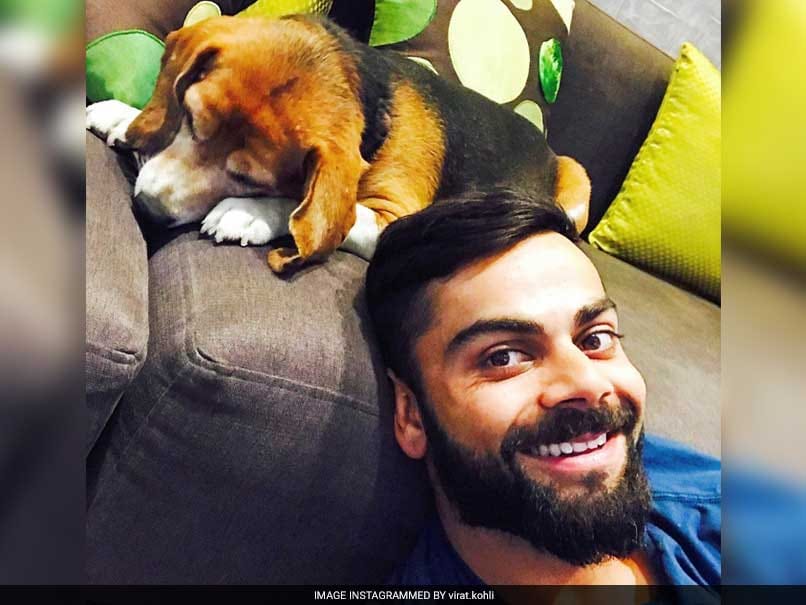 Virat Kohli Makes Friends With Sniffer Dog Prince At Pune Stadium