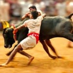 Jallikattu in Madurai was organized after ban