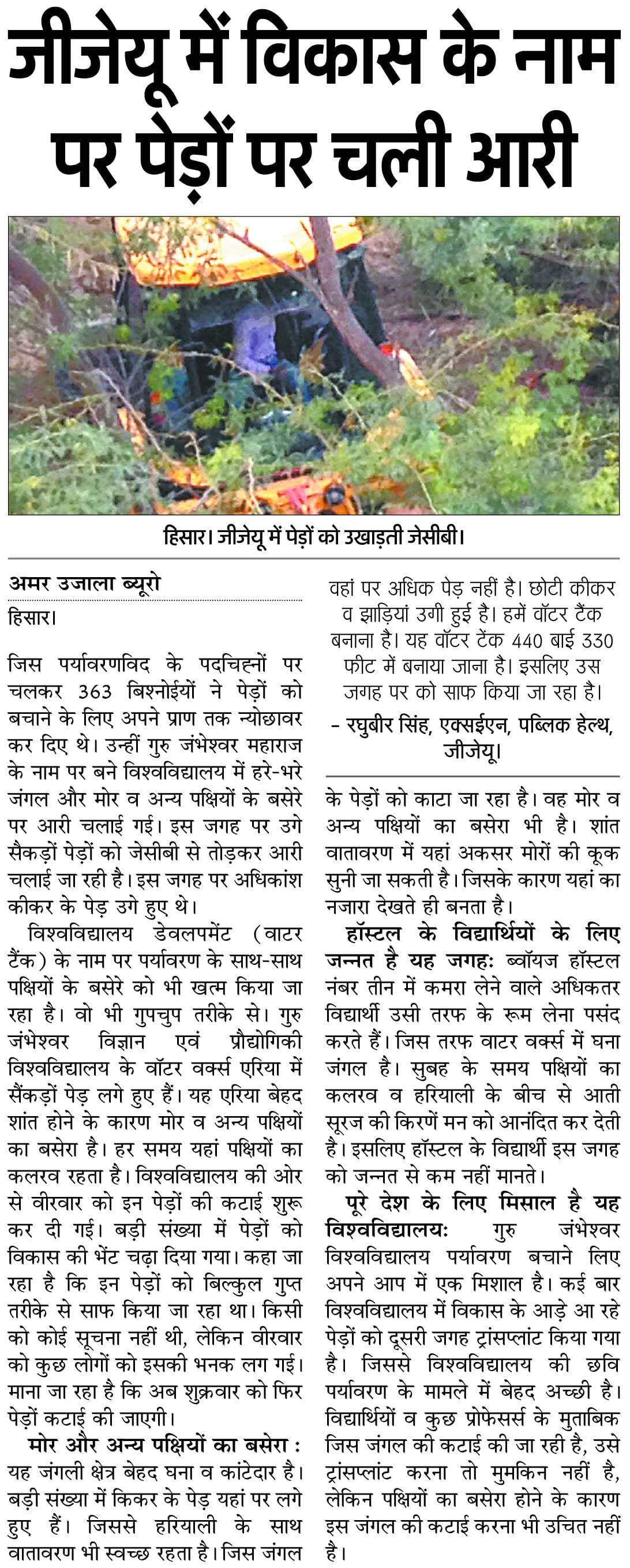 tree cut, tree cut in GJU, GJU Hisar, Hisar