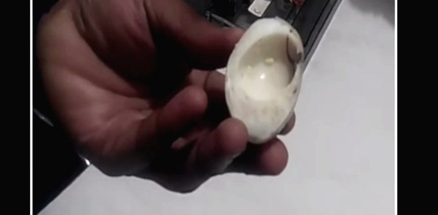 Poisonous worm found in Egg.