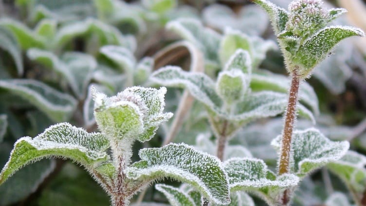 The five-year record broken, Saturday coldest day