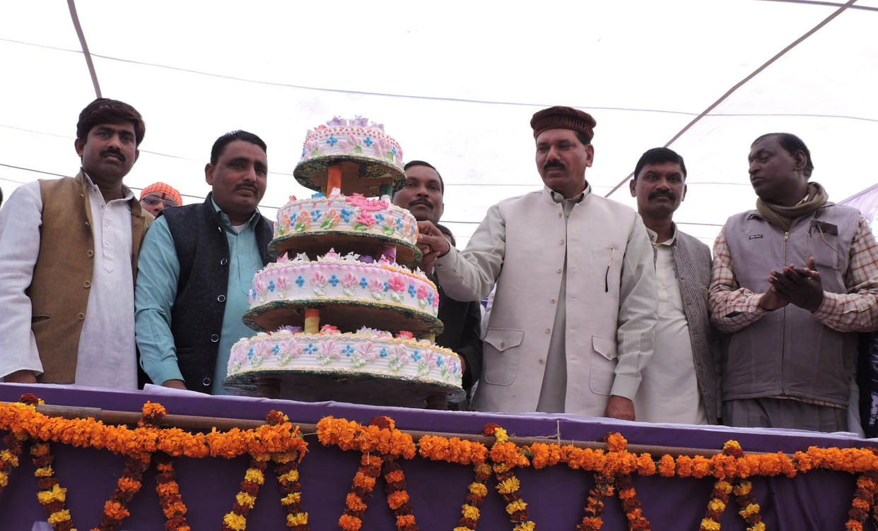 Celebrated her birthday cake cutting