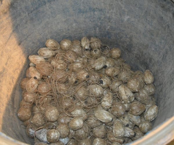  Police found bomb in gonda.