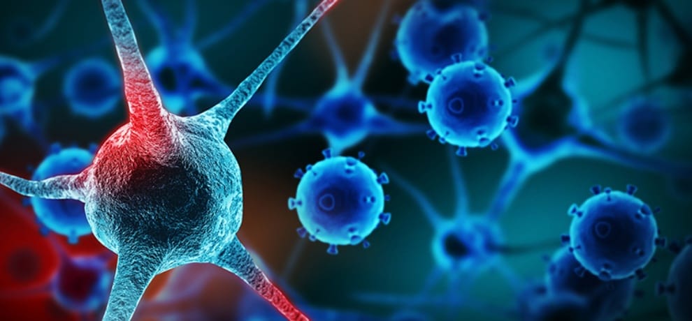 Niper Mohali scientists prepared Nano techniques after research