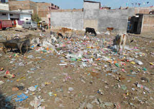 dirlty city lalitpur