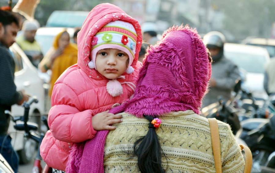 Life suffering from the cold wave