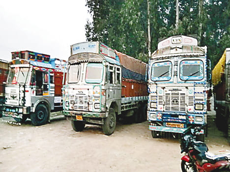 110 cattle found in the checking of six trucks