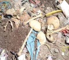 centuries old skeletons found hardoi