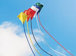 Mayer cut Legislators kites