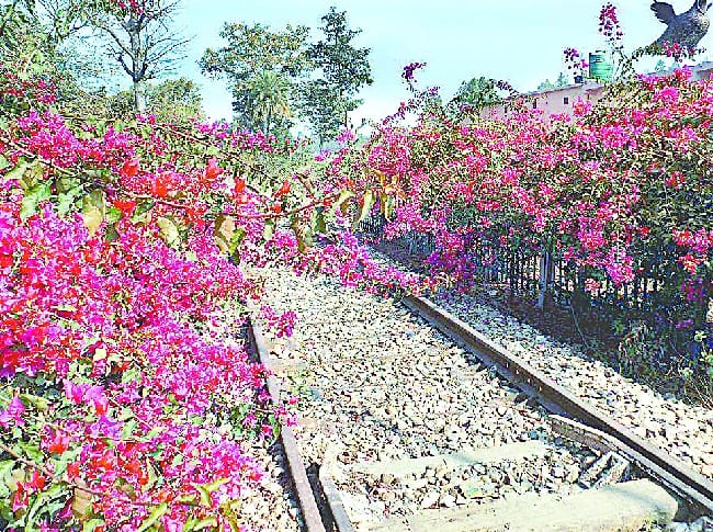 Railway track monitoring Rambrose