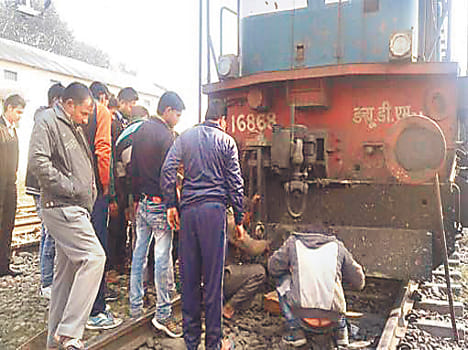 The train hit the animal, stood for three hours Express