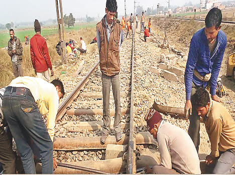 Just 10 will undergo speed trains
