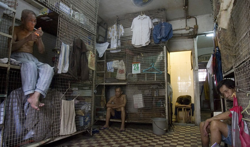 people in this city lives in animal cage