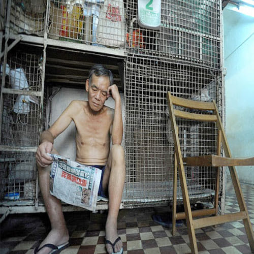 people in this city lives in animal cage