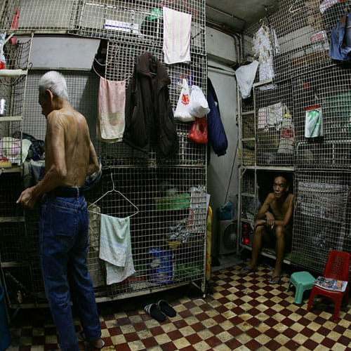 people in this city lives in animal cage