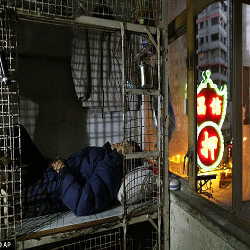 people in this city lives in animal cage
