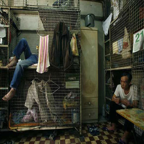 people in this city lives in animal cage