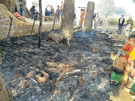 Fire killed three cattle sheds