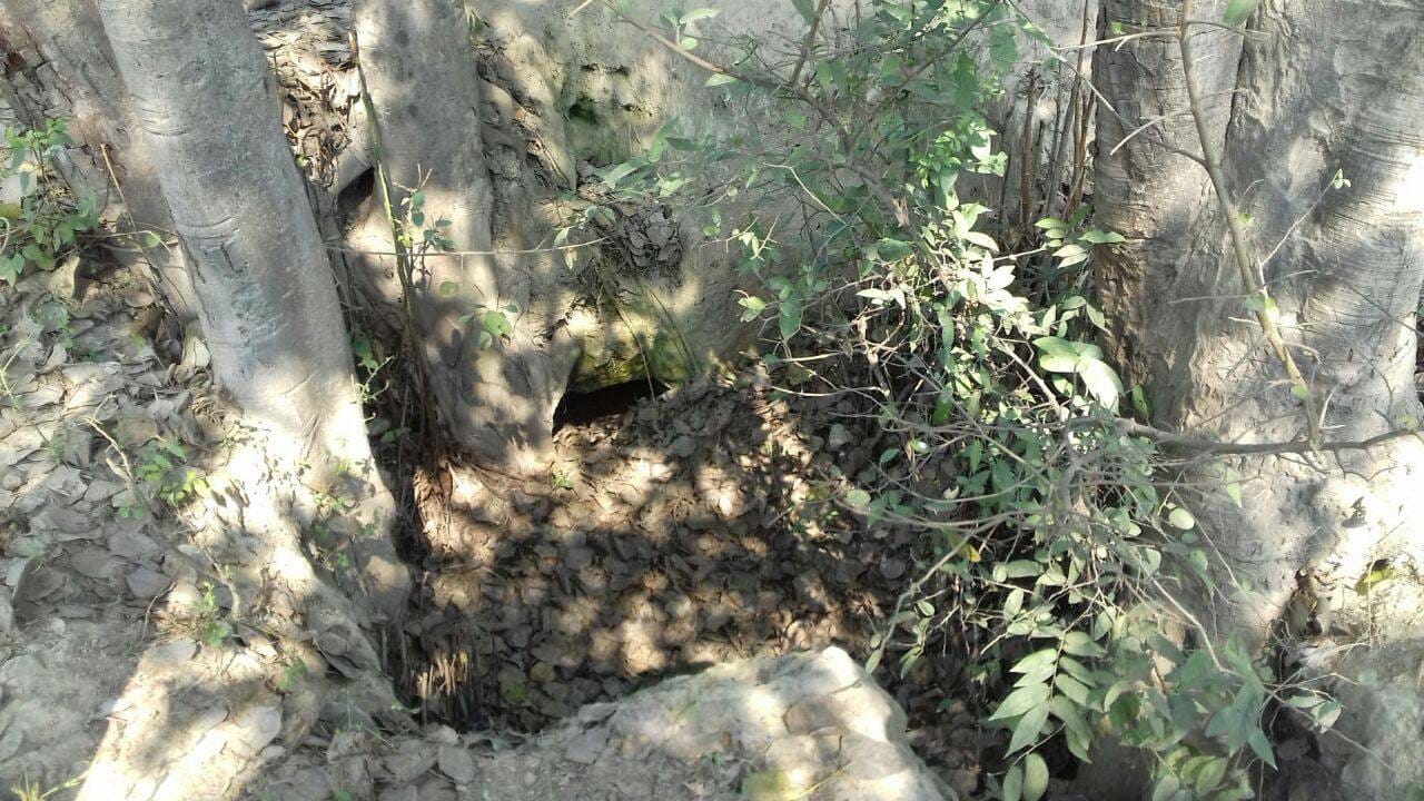 centuries old skeletons found hardoi