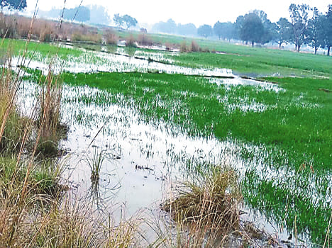 Khandi three place in twenty-four hours, unabridged farm