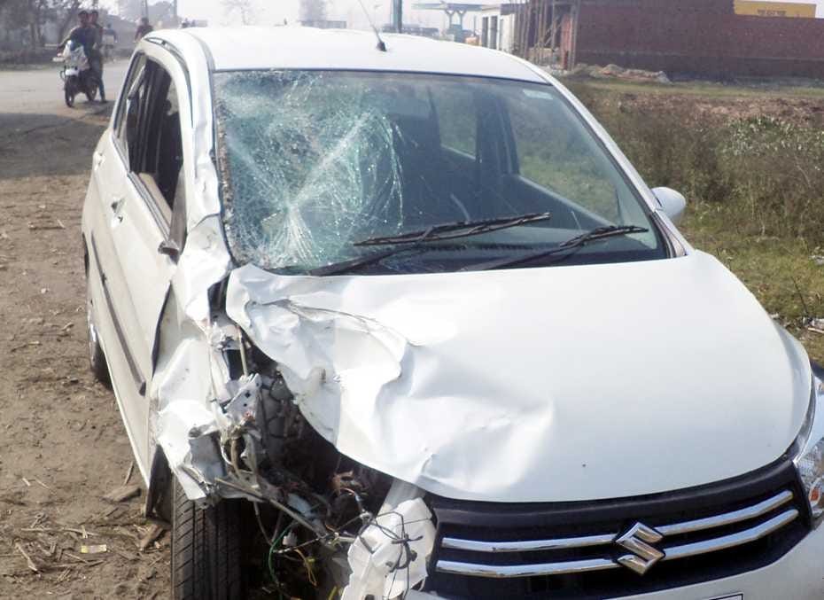 Dnlpon uncontrolled car entered a bull killed, one injured